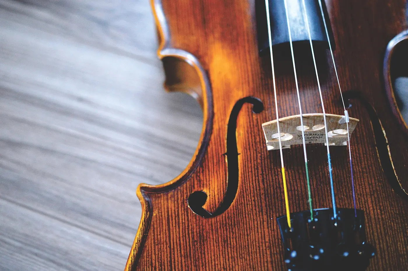 Part of a violin body with a handsome wood grain, with four strings running over the bridge beside an f-shaped sound hole