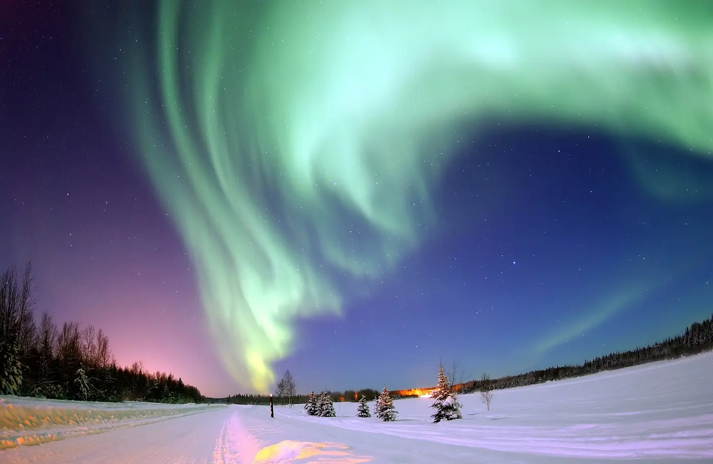 A green aurora swirling across the night sky above a snow-covered plain and trees