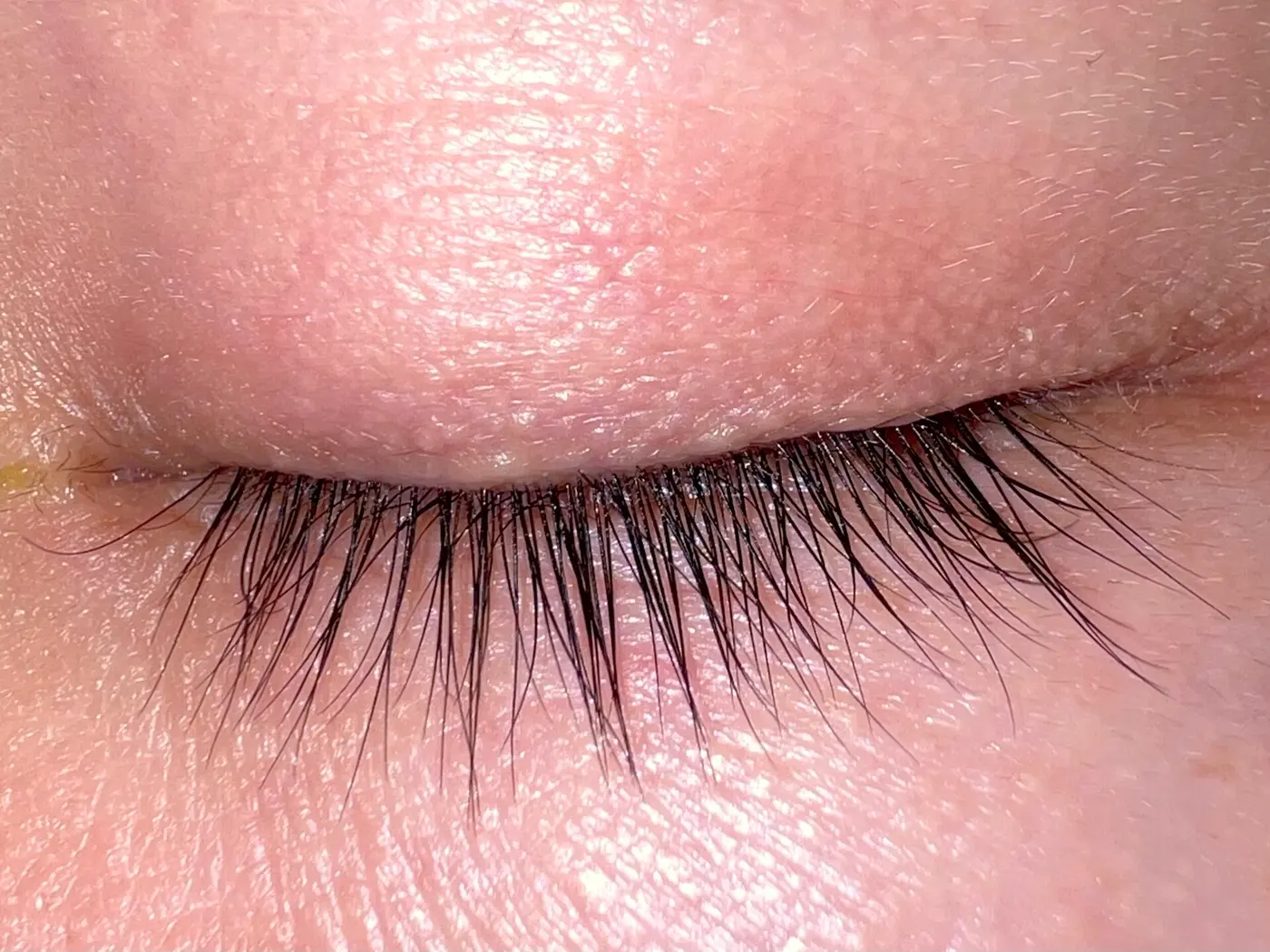 A close-up from above of a closed eyelid with long eyelashes