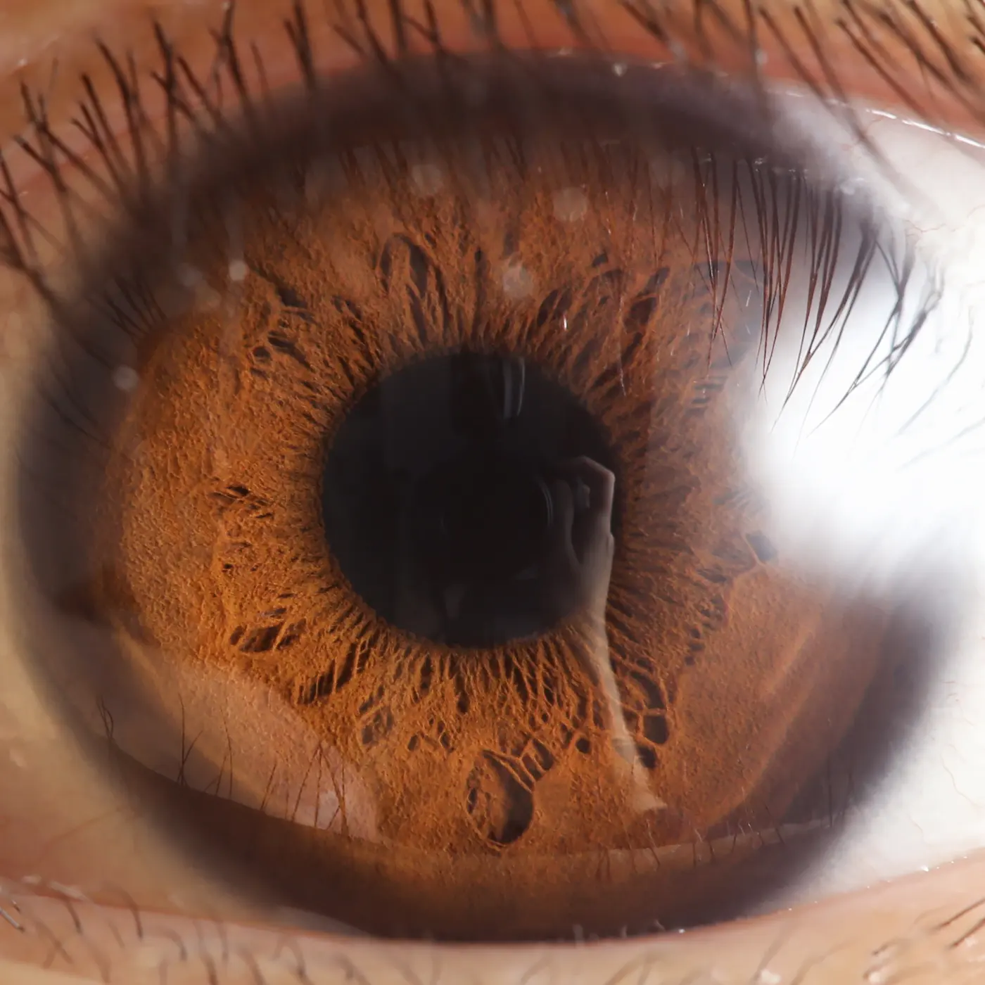 A front-on close-up of a human eye, showing a brown iris, a black pupil and eyelashes