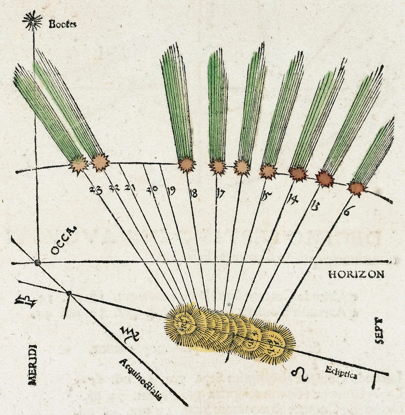 An old woodcut in which lines connect the Sun, drawn at the bottom, to a comet’s position on successive days; every tail points away from the Sun