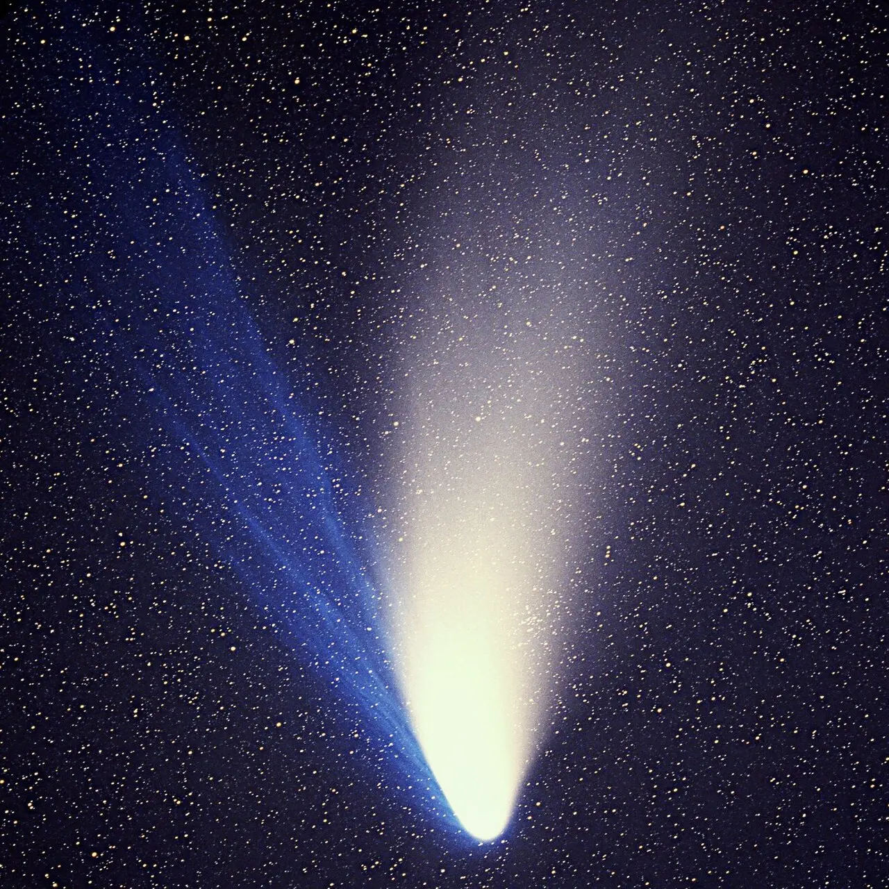 Comet Hale-Bopp shining in the night sky, with a thin blue tail and a broad white tail spreading in different directions