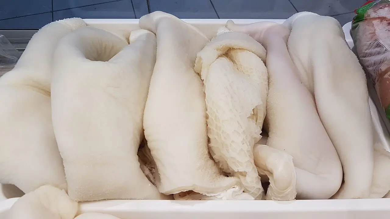 Pieces of parboiled white cow stomach on a shop tray; the piece in the middle has a honeycomb-like mesh pattern
