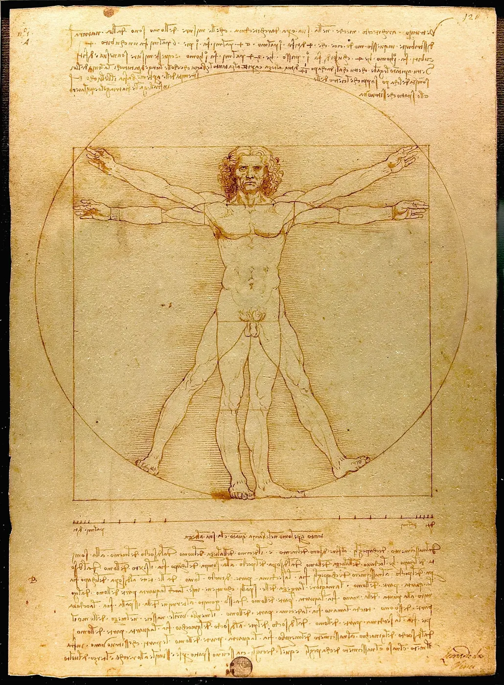 A drawing of a naked man with arms and legs spread in two positions inside a circle and a square, with dense lines of small writing above and below