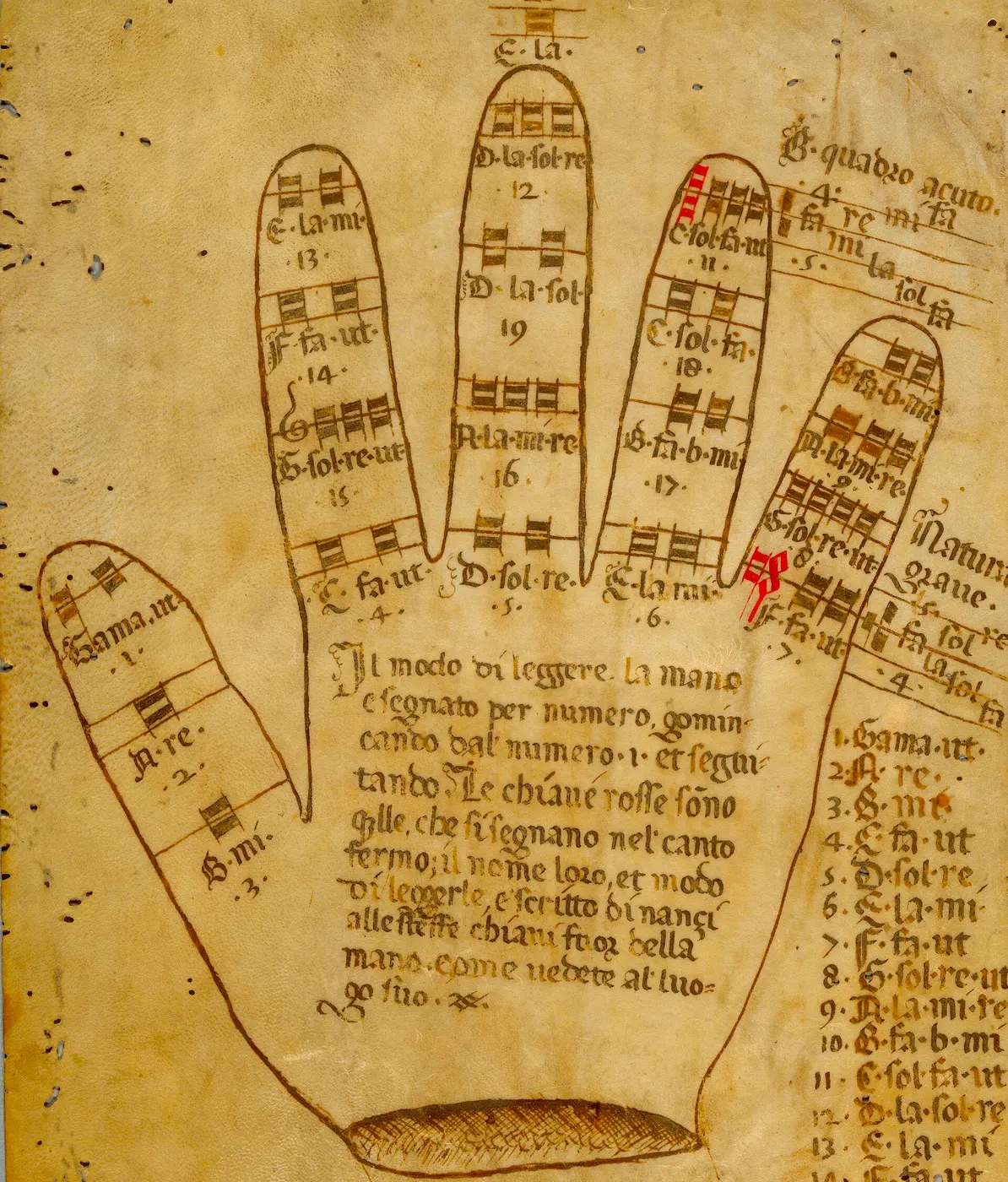 An old manuscript drawing of a left hand with note names written on each finger joint