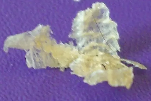 A flake of pale yellow dry earwax, thin and papery, lying on purple fabric