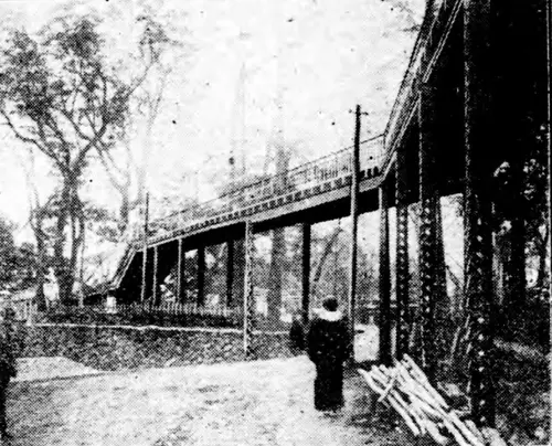 A black-and-white photo of a long, roofed structure slanting up a hillside between trees