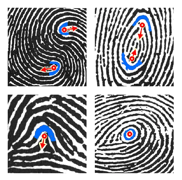 Four close-up fingerprint images, each with a red marker at the center of the pattern