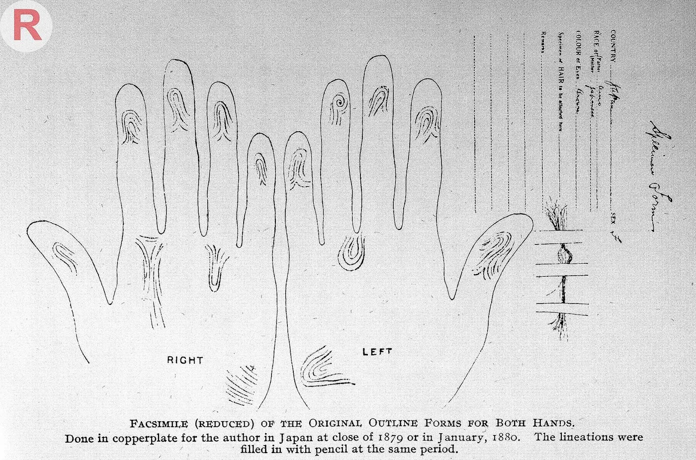 An old record form with the outlines of two palms and fingerprint ridges drawn in pencil