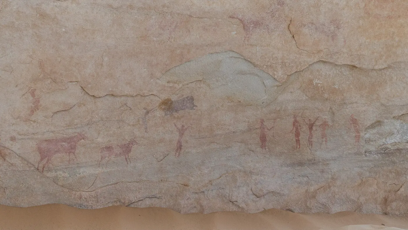 Several cattle and human figures with raised arms painted in reddish-brown on a pale rock face