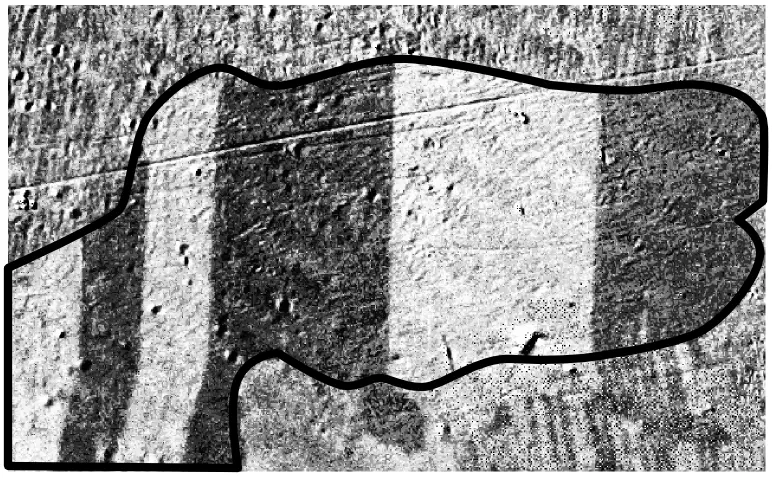 The surface of a steel sheet seen through a special microscope, with bands of light and dark stripes inside areas outlined by black lines