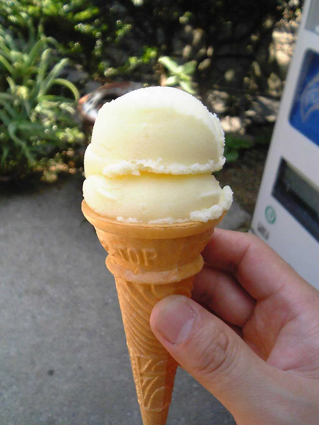 A hand holding a cone topped with pale yellow aisukurin