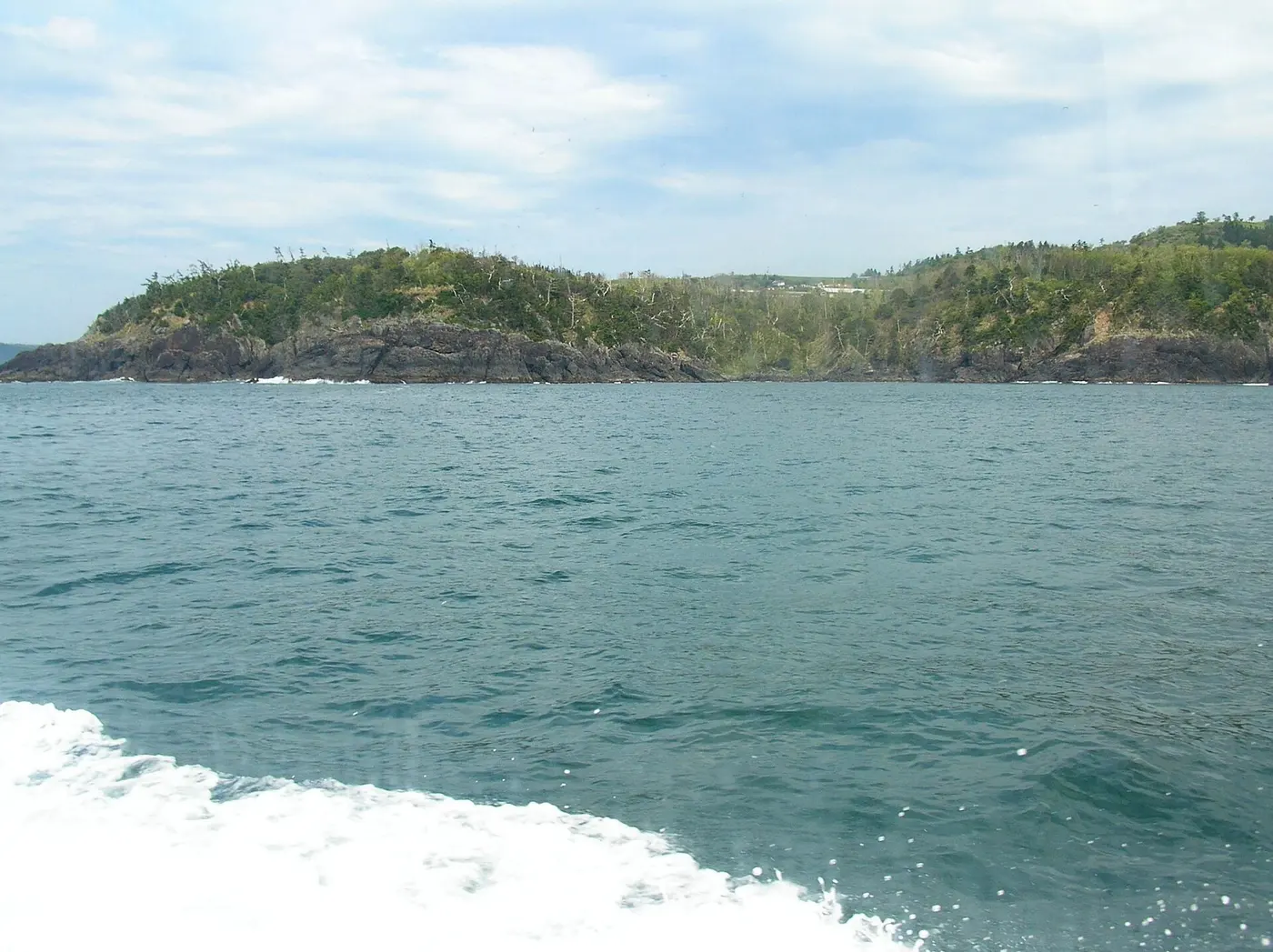 The rocky, tree-covered tip of a peninsula seen across the sea