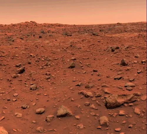 Reddish-brown rocks and stones scattered across the ground under a pale, reddish sky