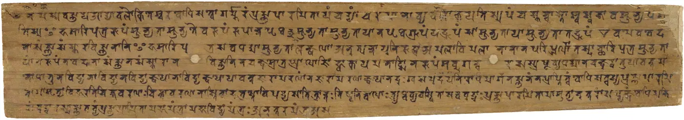 A long, narrow brown leaf covered with many fine lines of old Indian script