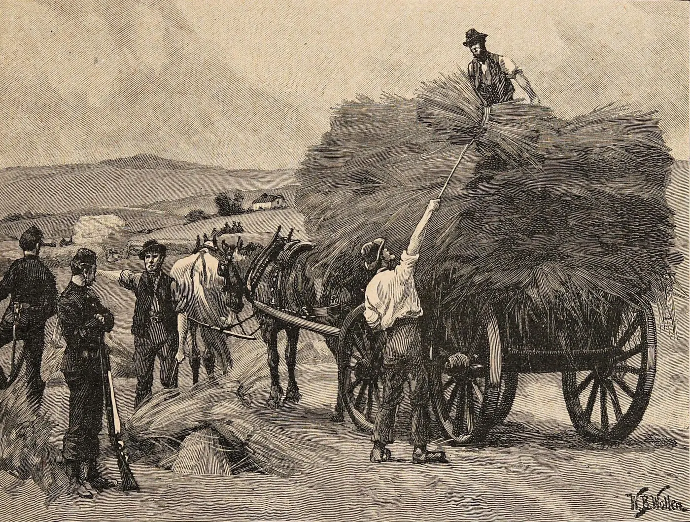 An illustration of men loading harvested crops onto a cart while soldiers with rifles stand guard