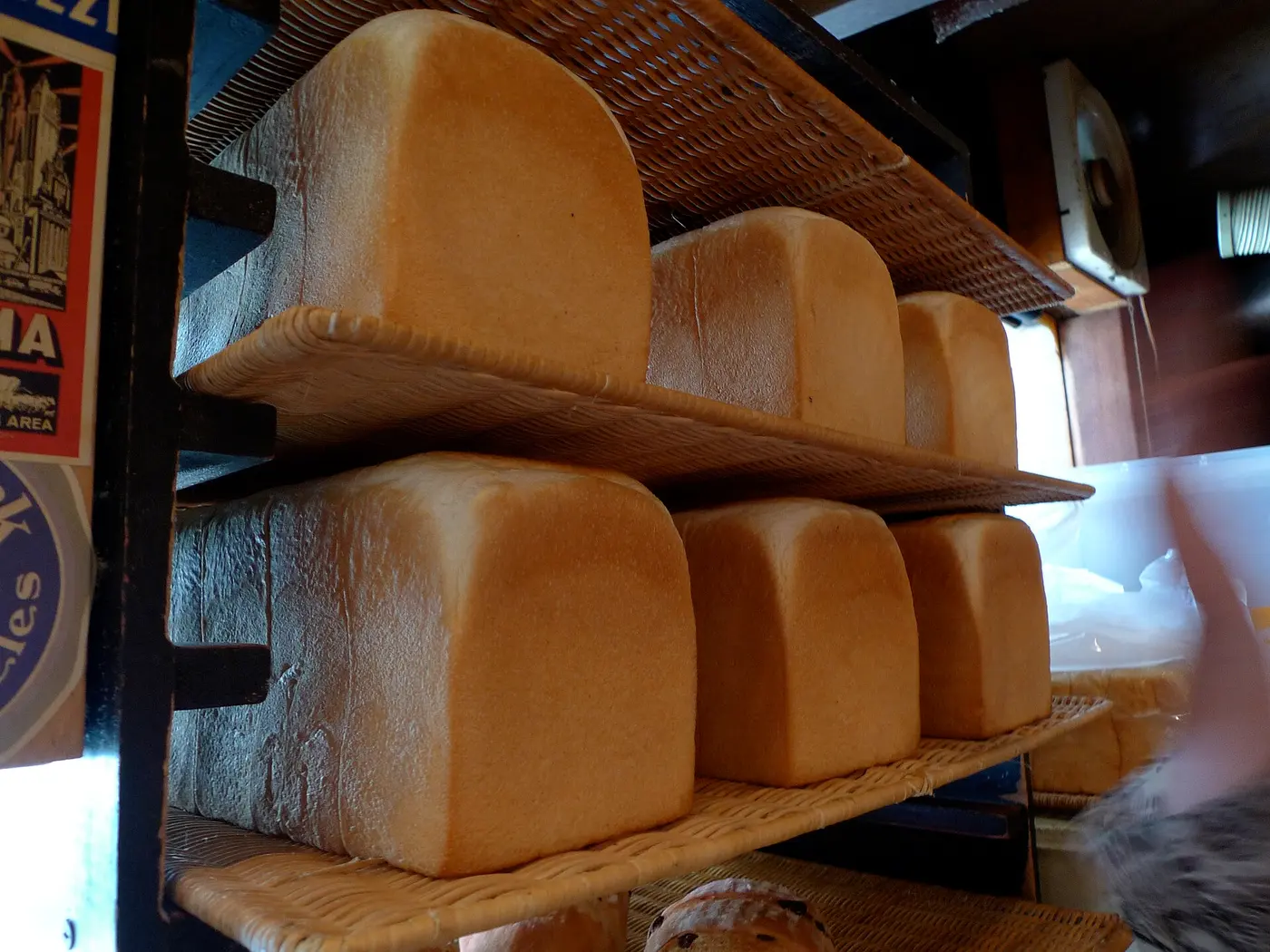 Large loaves of shokupan baked in square pans, lined up on bakery shelves