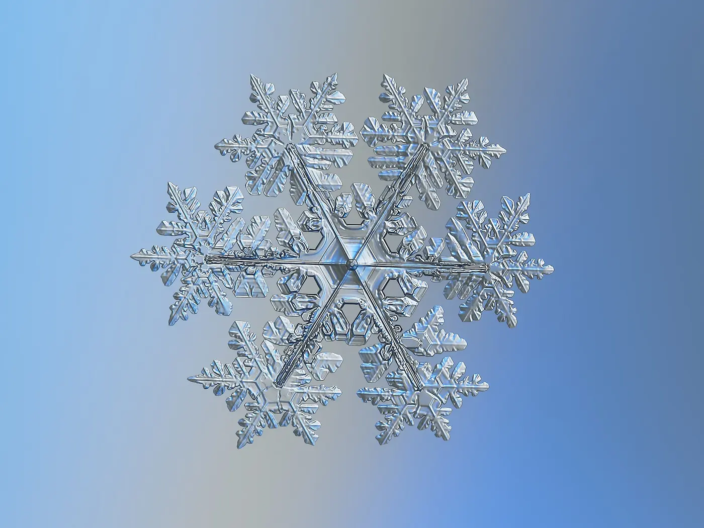 A close-up of a star-shaped snow crystal with six finely branched arms extending from a hexagonal center