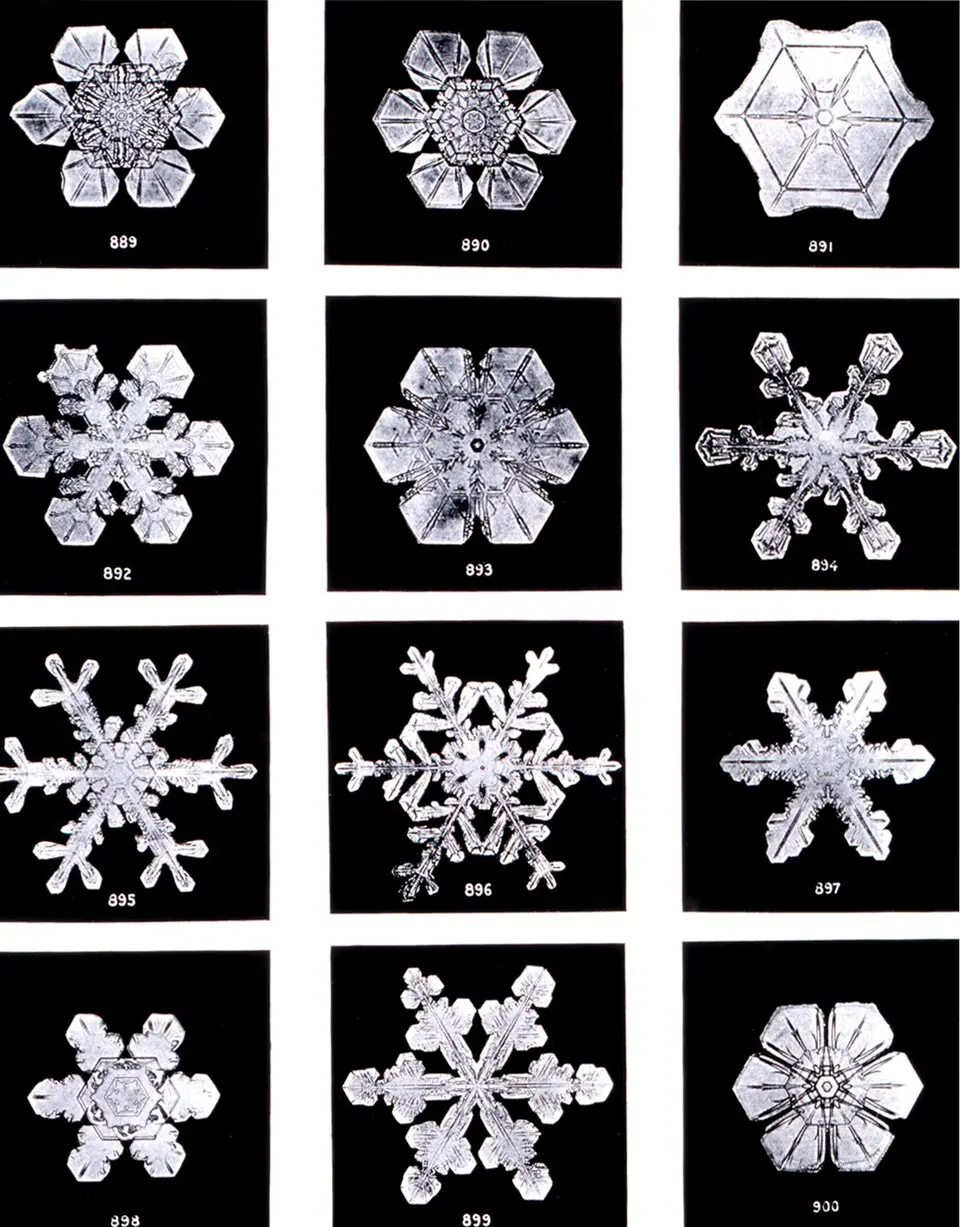 A black-and-white photo of many hexagonal snow crystals of different shapes arranged against a black background