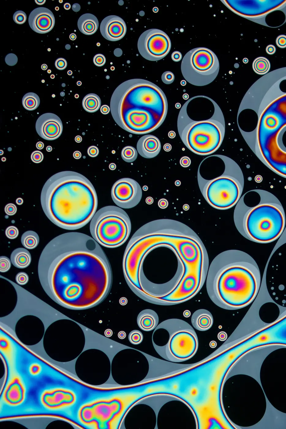 A close-up of a soap film in which many round islands, large and small, with rainbow-colored concentric rings float against a black background