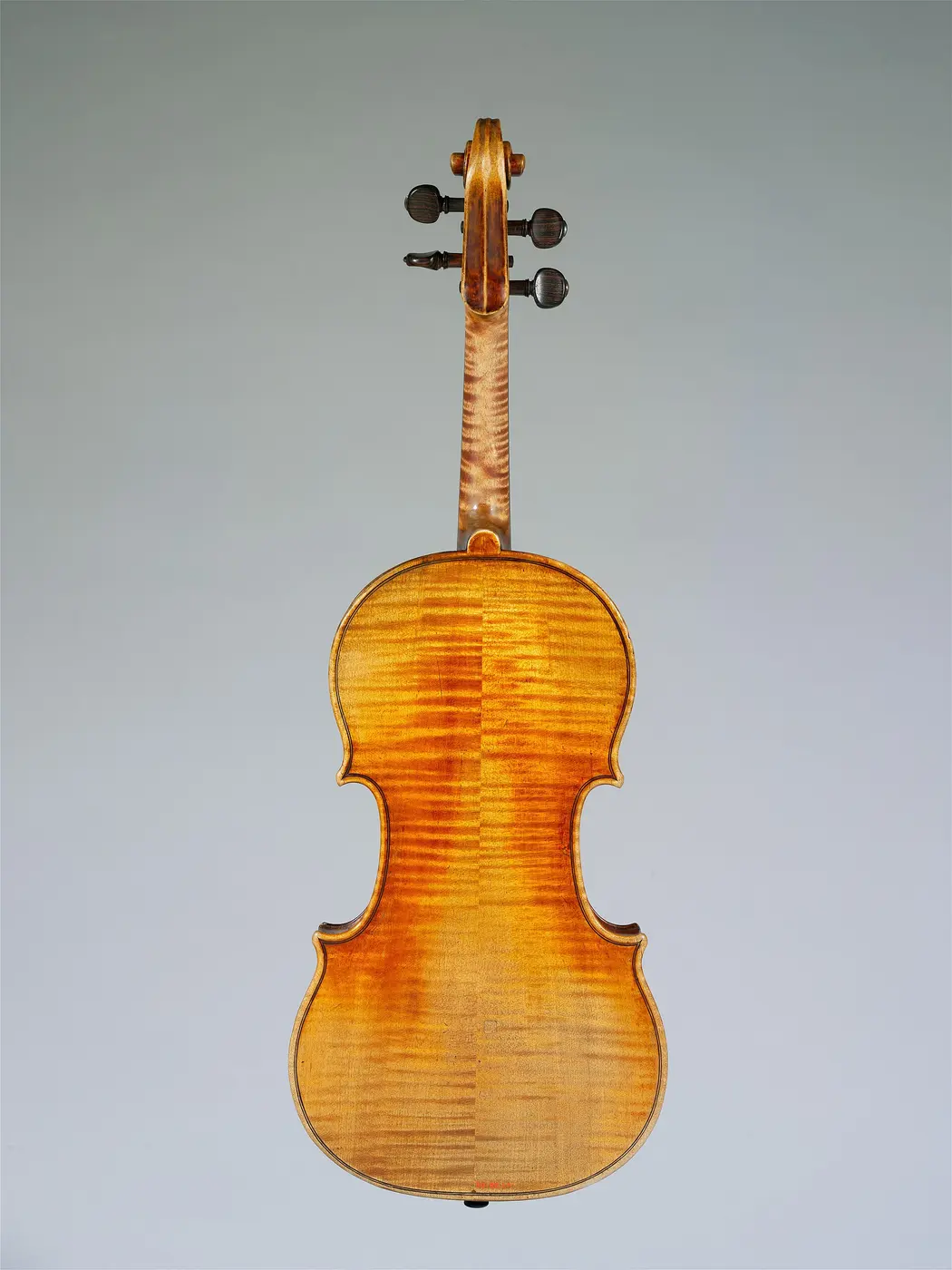The reddish-gold back of a violin with a striking striped wood grain