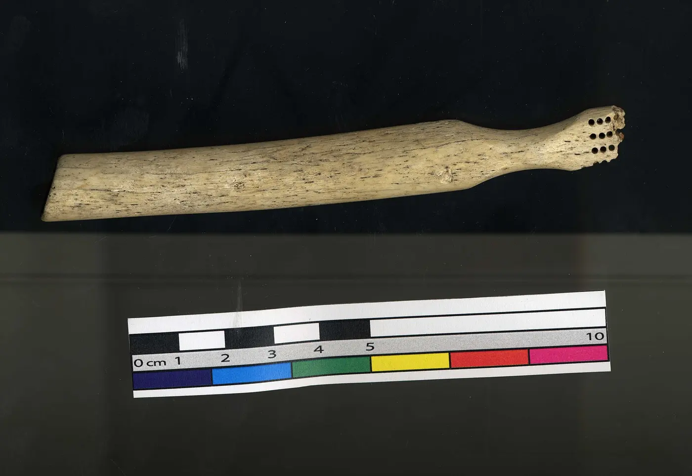 A long, slender bone toothbrush handle with rows of small holes at one end, next to a measuring scale
