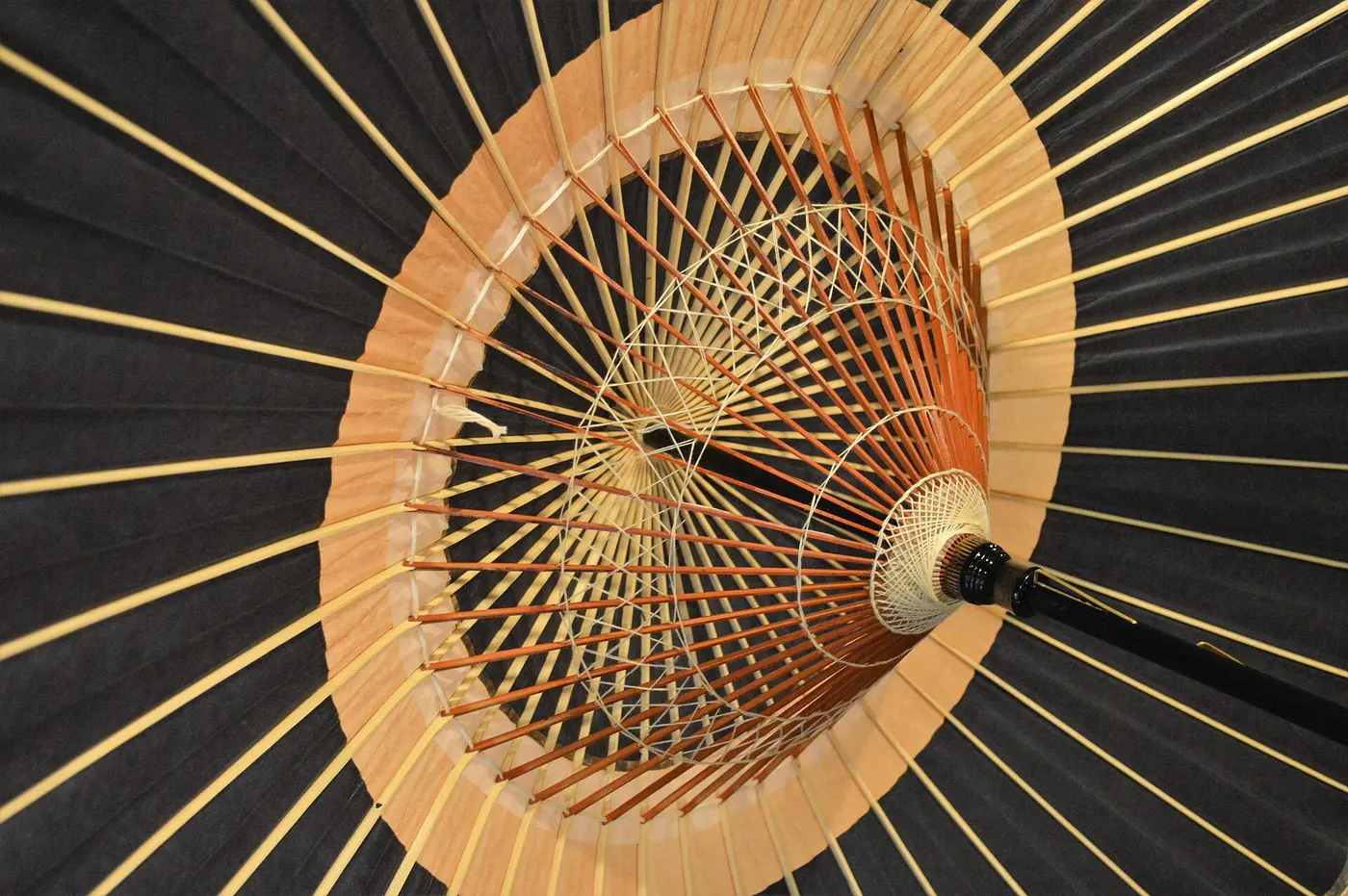 Looking up inside a Japanese umbrella covered in black washi, with thin bamboo ribs radiating densely outward