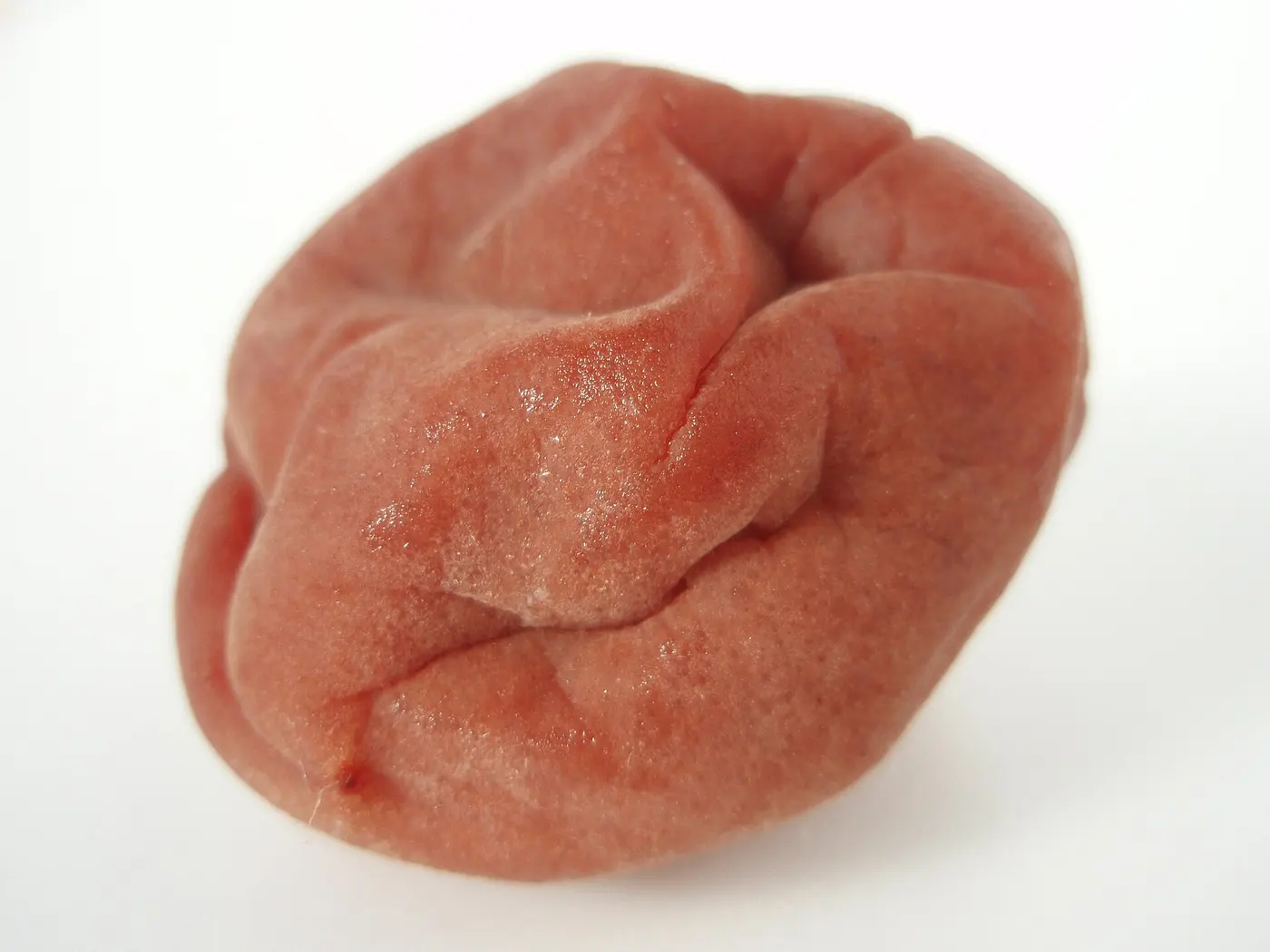 A single wrinkled red umeboshi against a white background