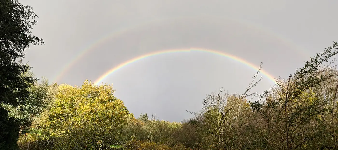 A bright primary rainbow and a faint secondary rainbow above trees, with darker sky between the two bows