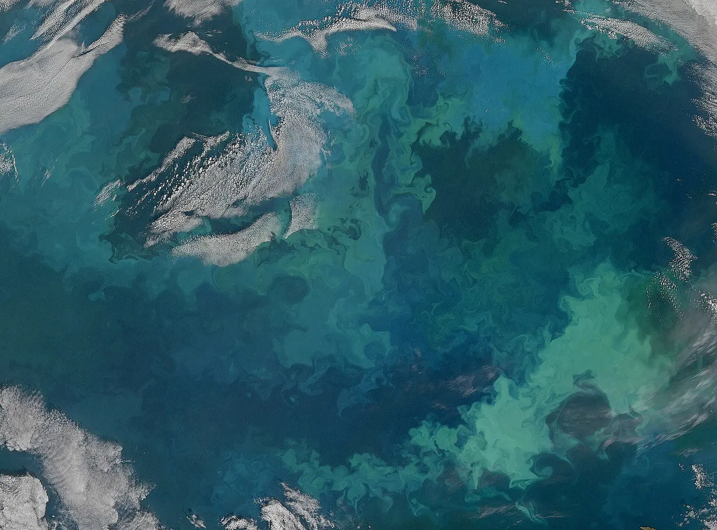 A satellite image of the sea seen through gaps in the clouds, with green and light-blue patterns swirling across it